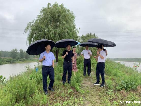 袁总检查